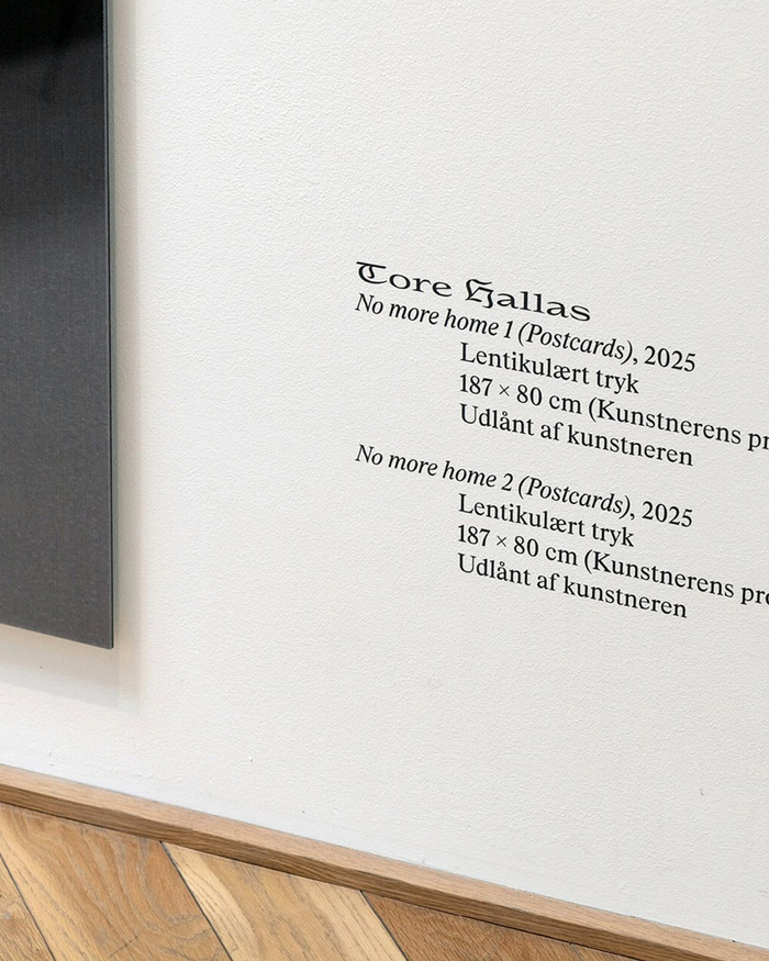 Anden Krop exhibition at Fuglsang Kunstmuseum 6