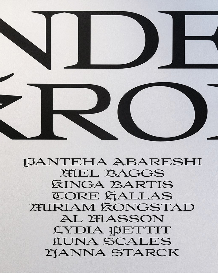Anden Krop exhibition at Fuglsang Kunstmuseum 8