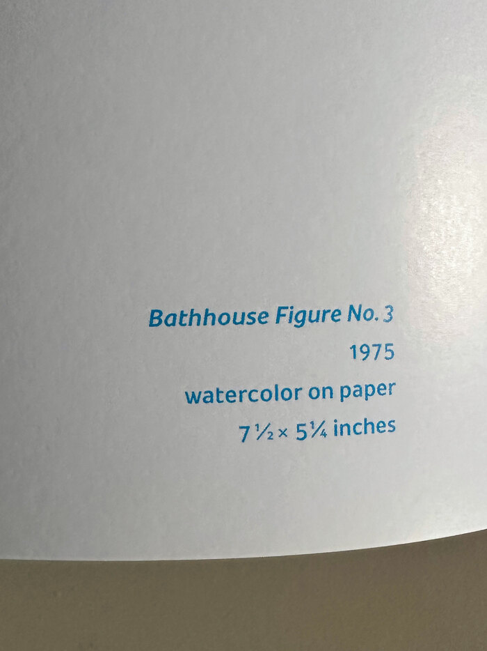 Jimmy Wright – Bathhouse, Meatpacking District and the Dream Cards exhibition catalog 6