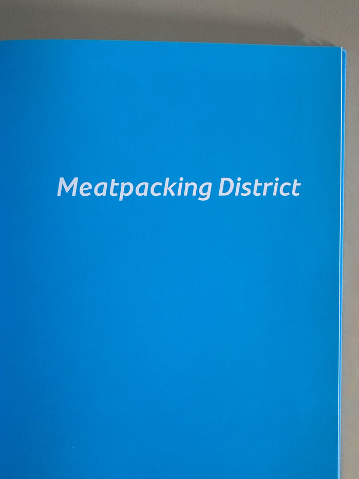 Jimmy Wright – Bathhouse, Meatpacking District and the Dream Cards exhibition catalog 7