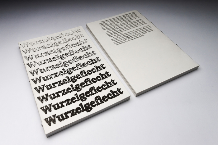 Wurzelgeflecht 1