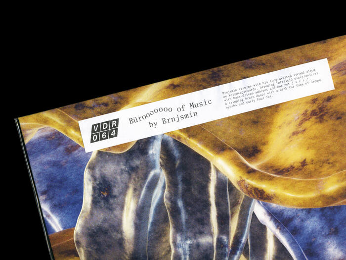 Brnjsmin – Büro of Music album art and tour poster 4