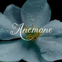 <cite>Anemone</cite> movie trailer