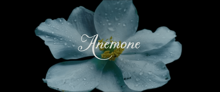 Anemone movie trailer 1