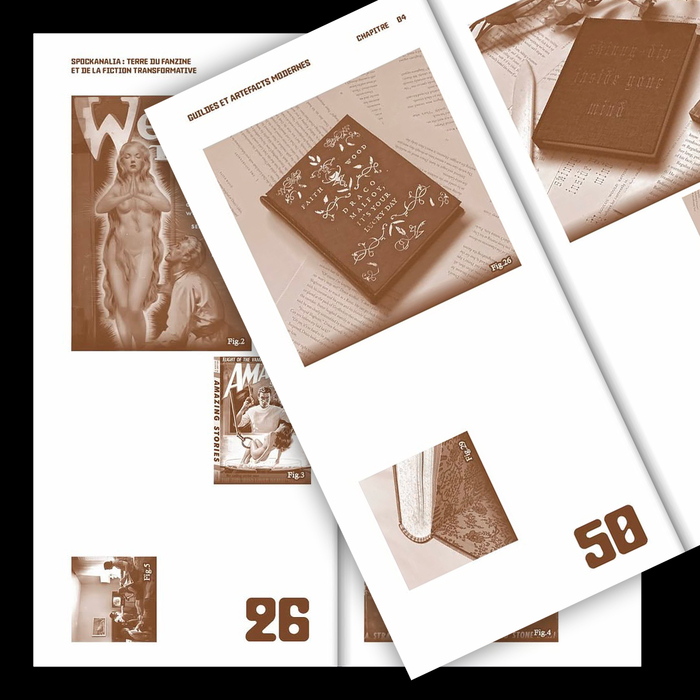 Fanfic. Vers de nouveaux usages passionnés et graphiques by Laurie Liviero 4