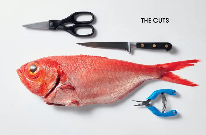 Fish Butchery by Josh Niland 2