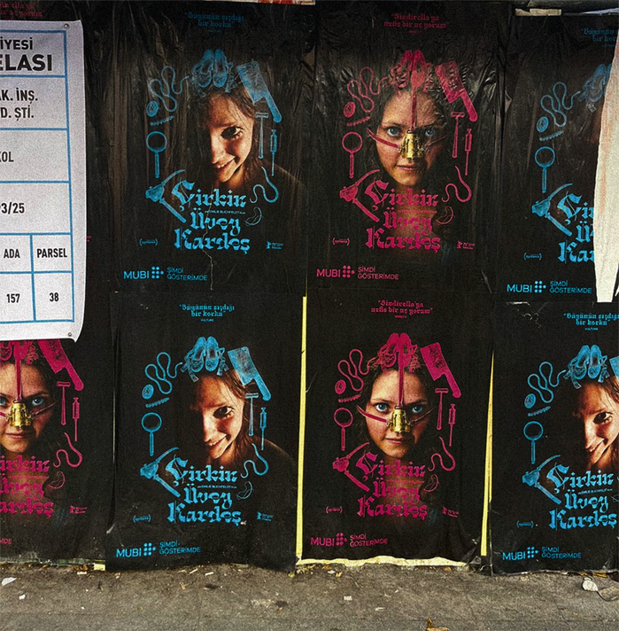 Çirkin Üvey Kardeş / The Ugly Stepsister movie logo and posters 5