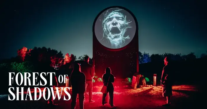 Forest of Shadows 5