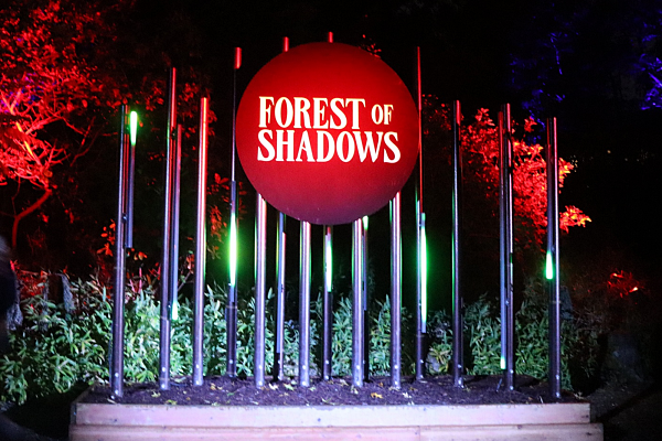 Forest of Shadows 3