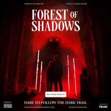 Forest of Shadows