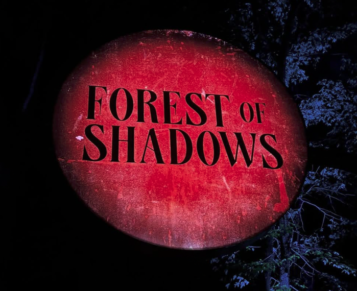 Forest of Shadows 4