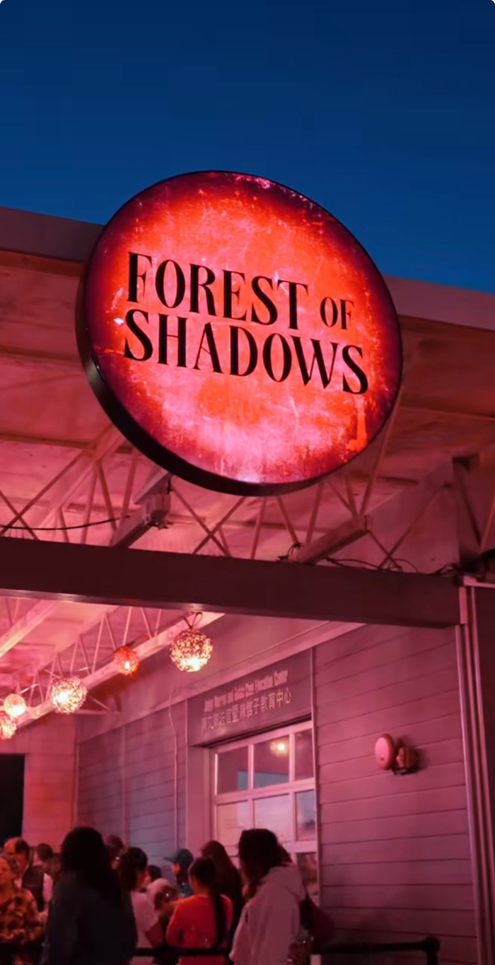 Forest of Shadows 6