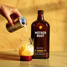 Mother Root packaging and identity