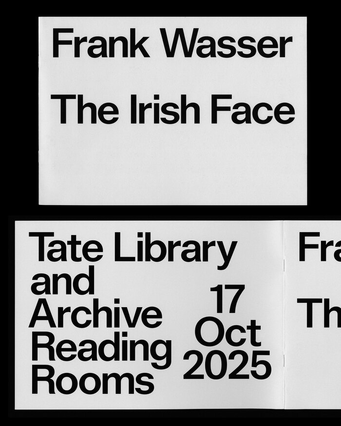 The Irish Face by Frank Wasser 1