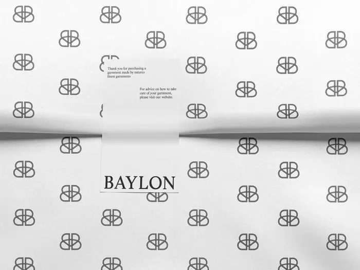 Baylon identity 3
