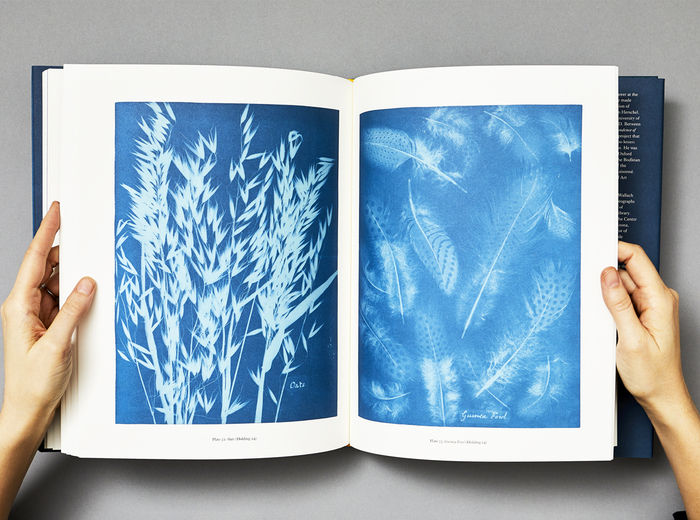 Sun Gardens. Cyanotypes by Anna Atkins by Larry J. Schaaf 4