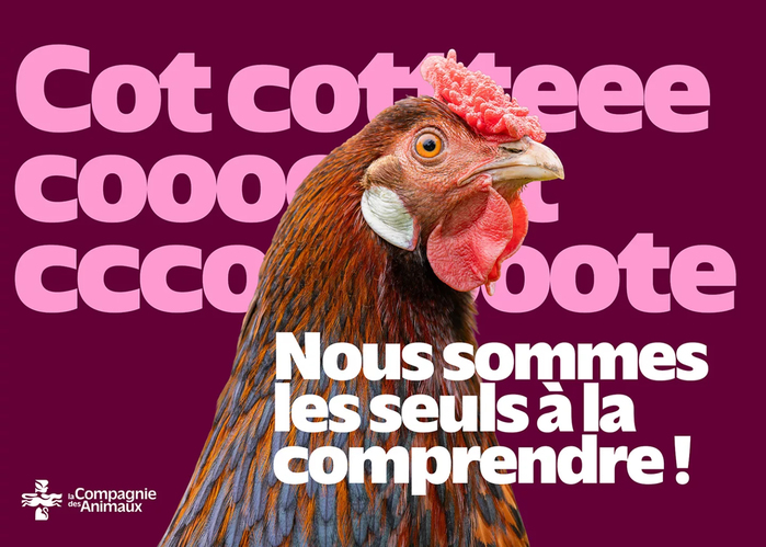 La Compagnie des Animaux 2