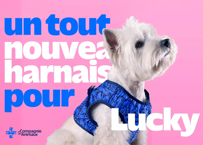 La Compagnie des Animaux 3