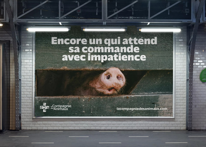 La Compagnie des Animaux 4