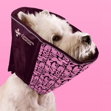 La Compagnie des Animaux