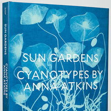 <cite>Sun Gardens. Cyanotypes by Anna Atkins</cite> by Larry J. Schaaf
