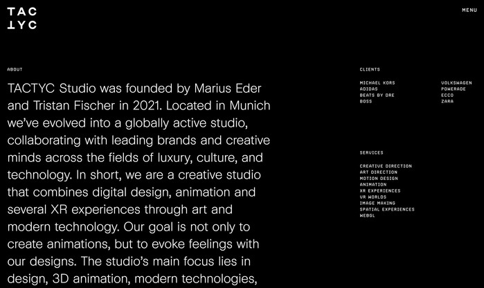 Tactyc website 5