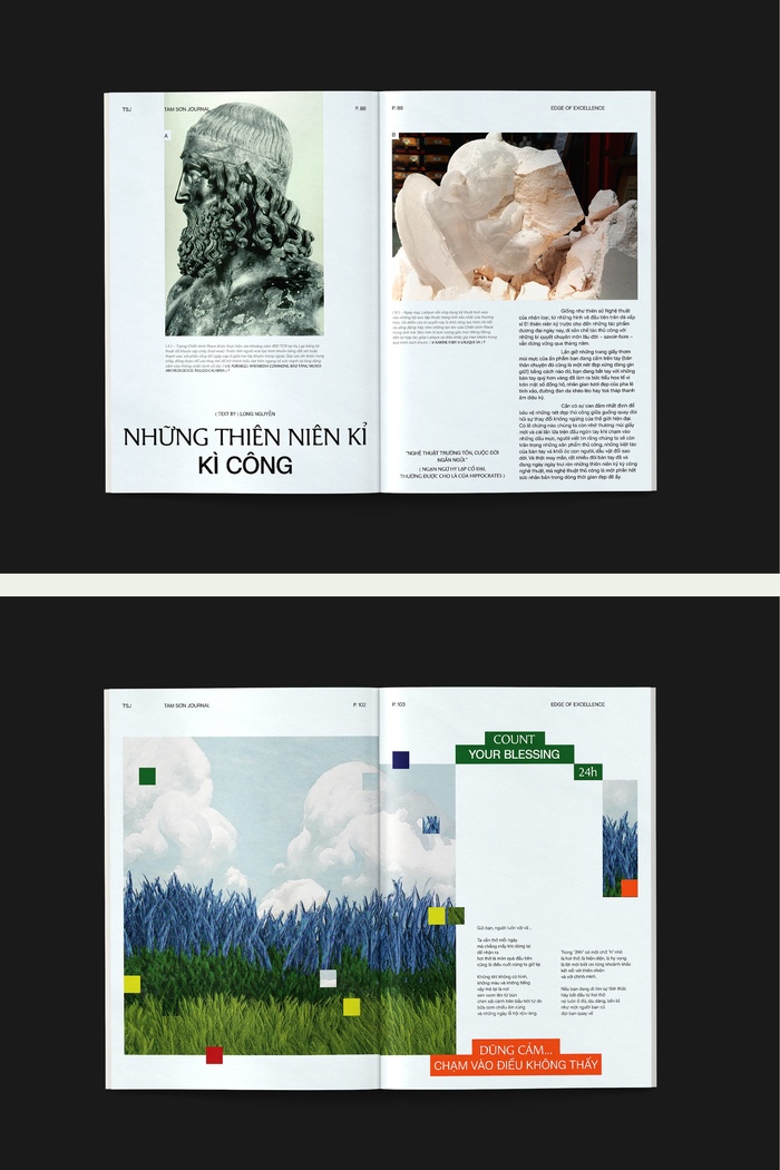 Tam Sơn Journal 8