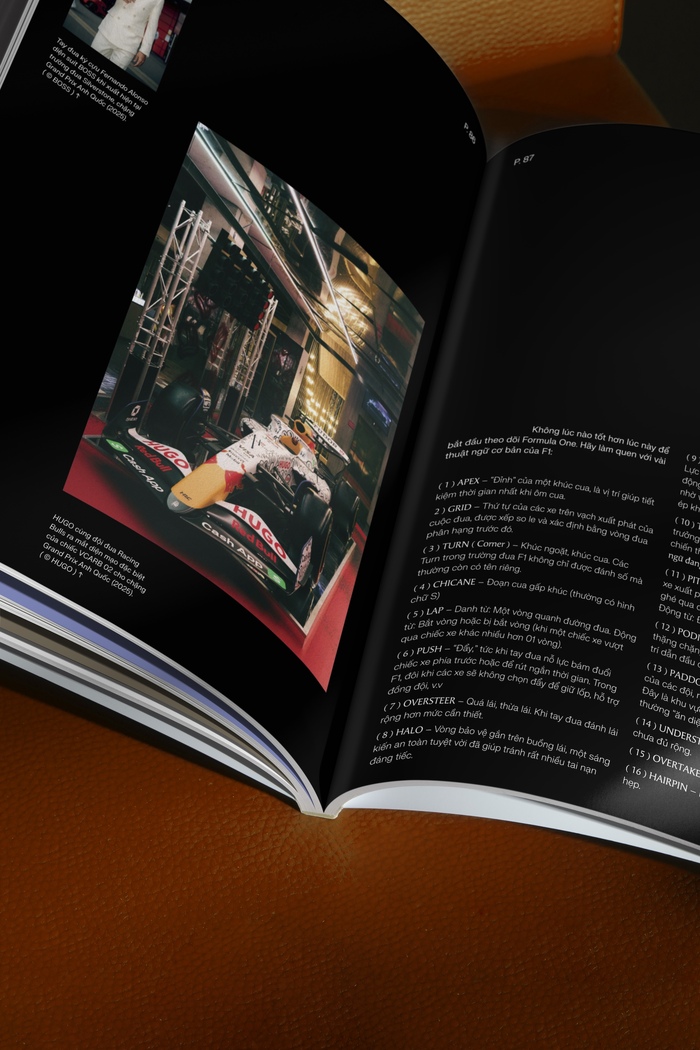 Tam Sơn Journal 9