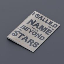 Friday Bird logo and <cite>I Called Your Name from Beyond the Stars</cite> exhibition catalog