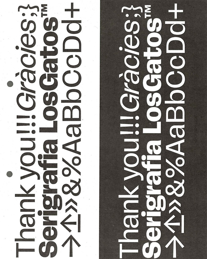 Serigrafia Los Gatos 26