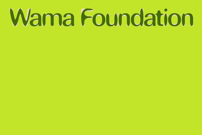 Wama Foundation, National Centre for Environmental Art 1