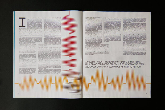 The other typefaces used alongside Sonic Waves are all-caps  and the FT’s standard .