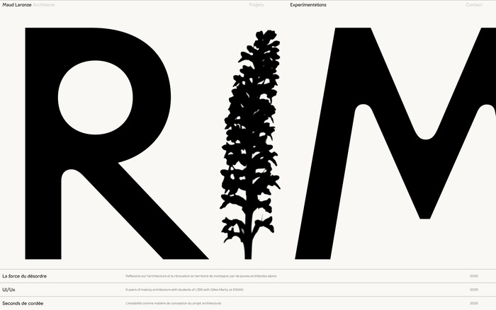 Maud Laronze portfolio website 1