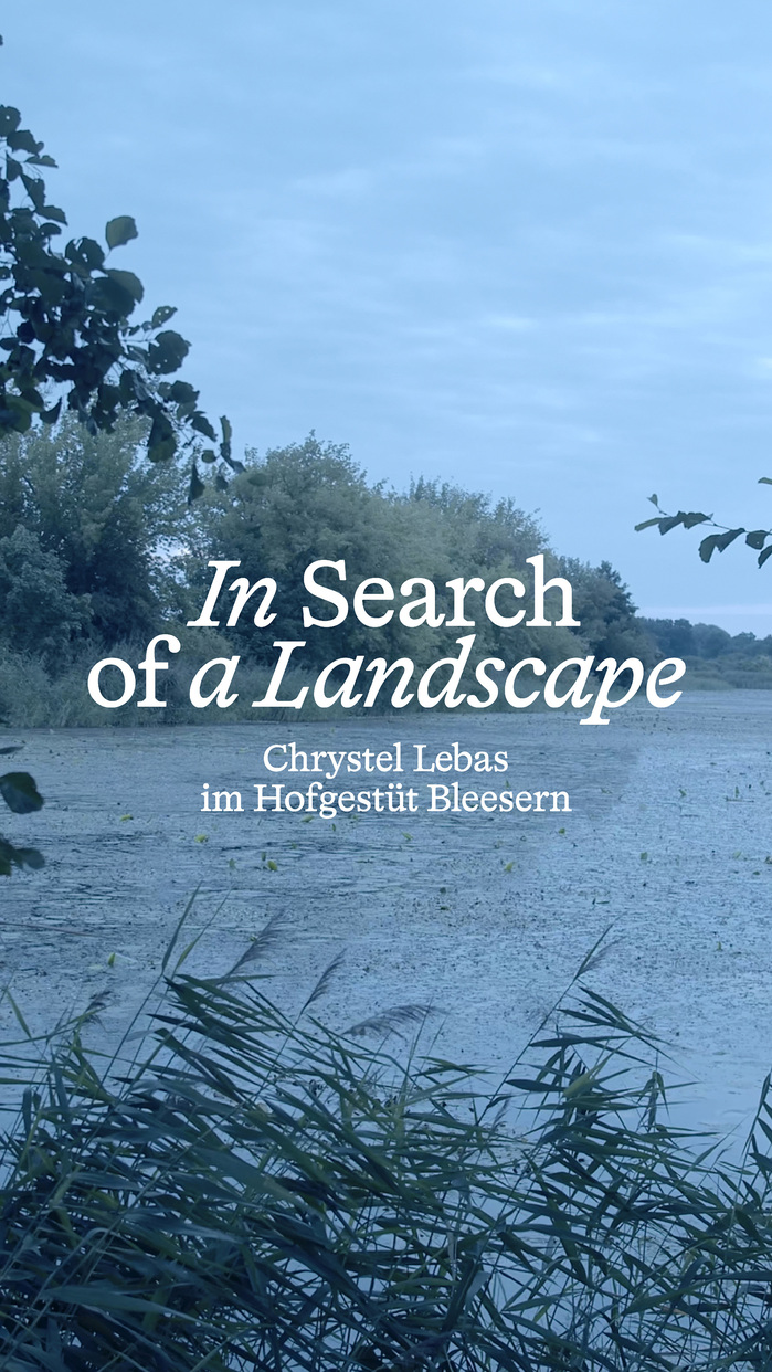 In Search of a Landscape movie poster and titles 6