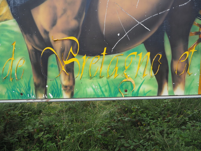 Fête des Bruyères, Beuzec-Cap-Sizun 3