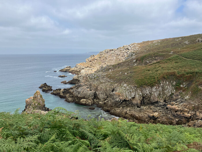 Ferns, heather, rocks and sea: the côte sauvage.