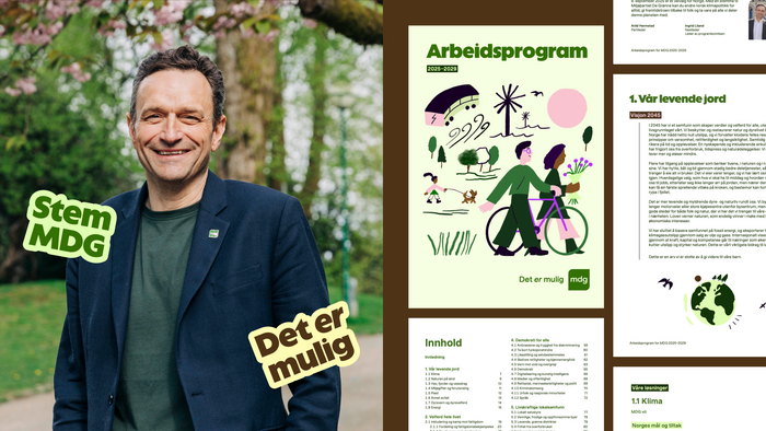 MDG (The Green Party of Norway) 3