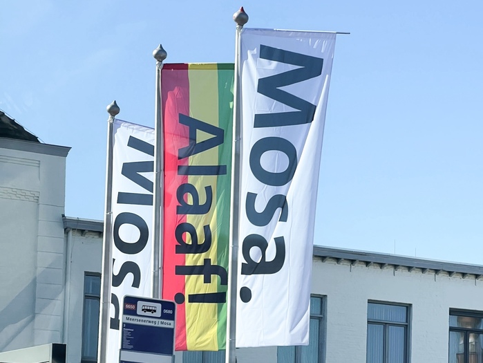 Carnival flag in front of the factory, Maastricht