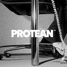 Protean Funds Scandinavia identity and website