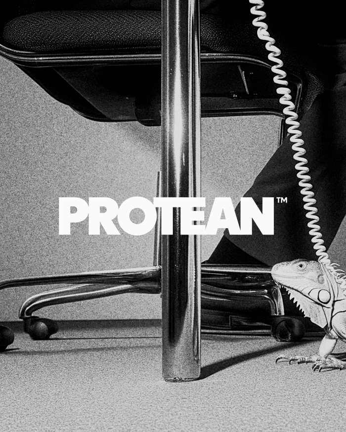 Protean Funds Scandinavia identity and website 1