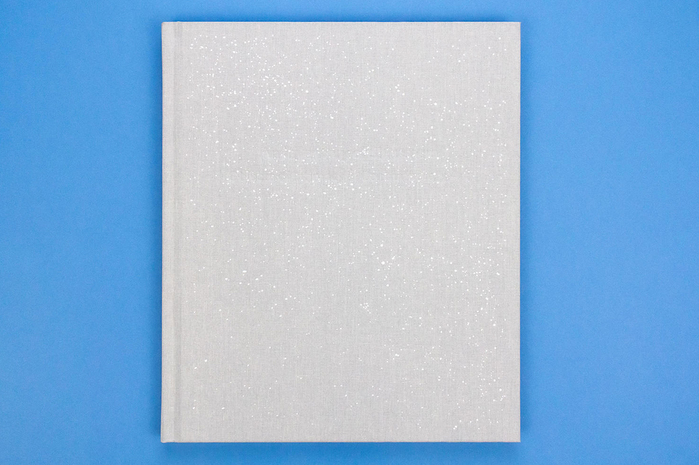 An Inventory of Shimmers: Objects of Intimacy in Contemporary Art 1