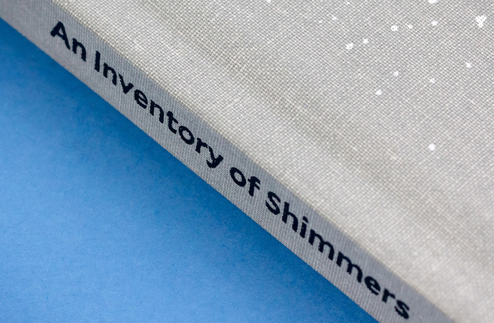 An Inventory of Shimmers: Objects of Intimacy in Contemporary Art 6