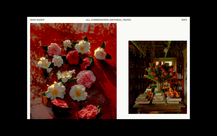 Sean Hazen portfolio website 5