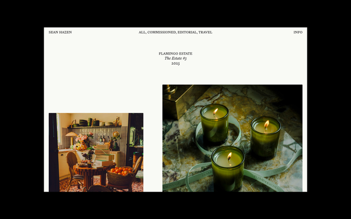 Sean Hazen portfolio website 4