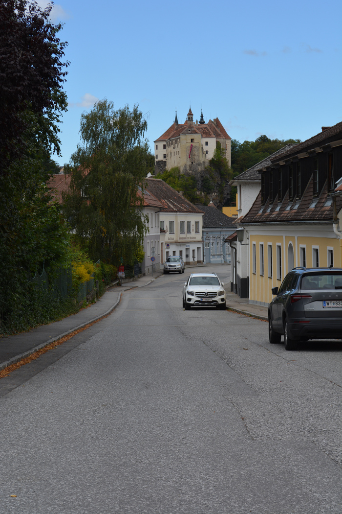 View of Raabs, with the castle – the conference venue featuring the tga’s pink flag – in the background