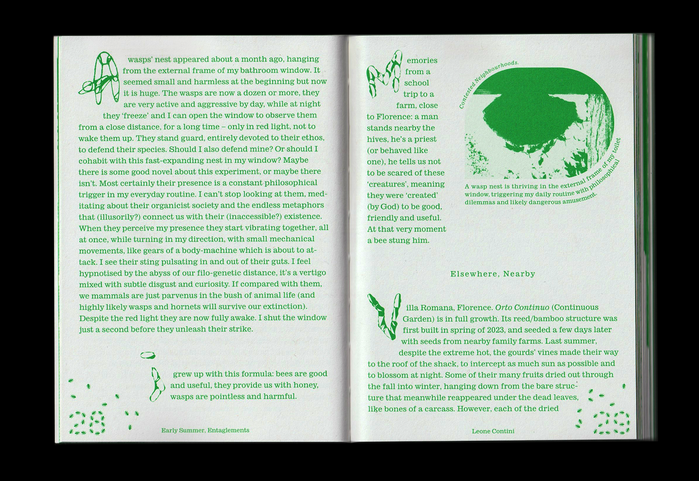 Testing Grounds / Seeding Worlds 4