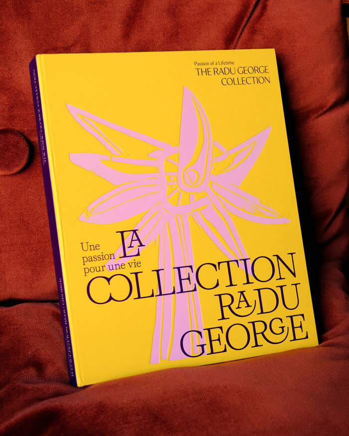 La collection Radu George 1