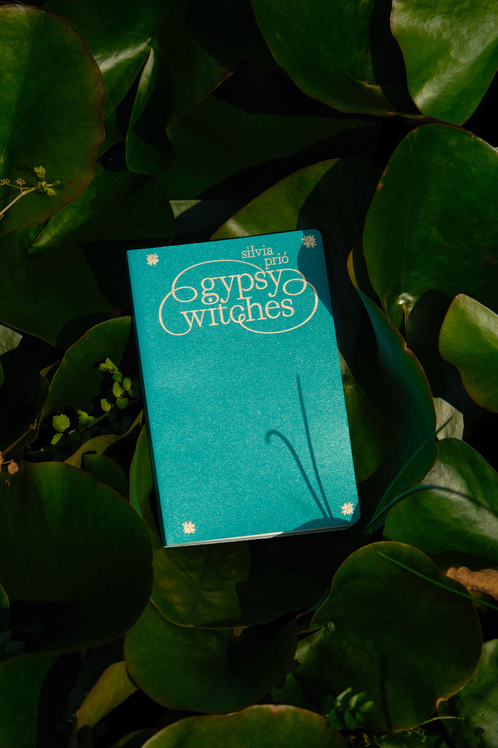Gypsy Witches by Silvia Prió 1