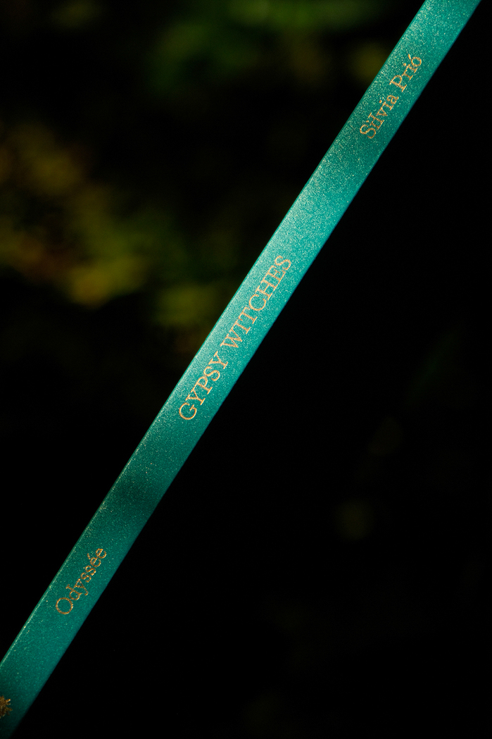 Gypsy Witches by Silvia Prió 2