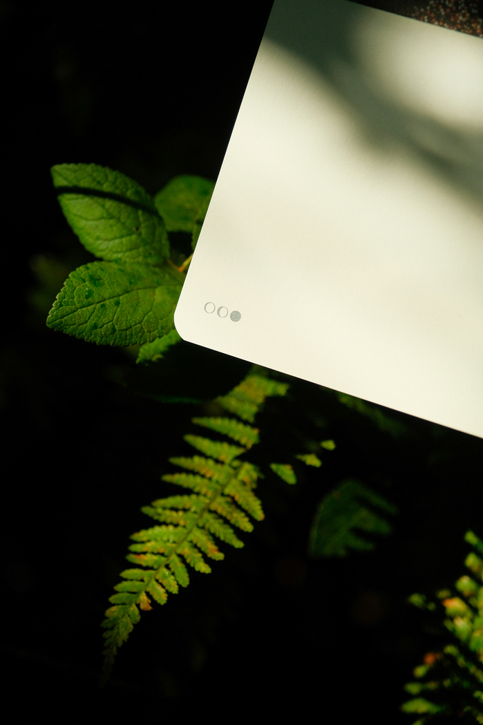 Page numbers are translated to a code using moon phases.